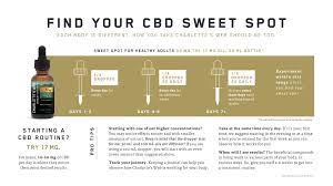 How to Maximize the Benefits of Your CBD Oil