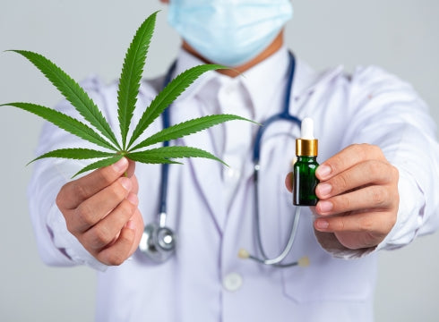 CBD Topicals or CBD Oils: Which is Best for Me?