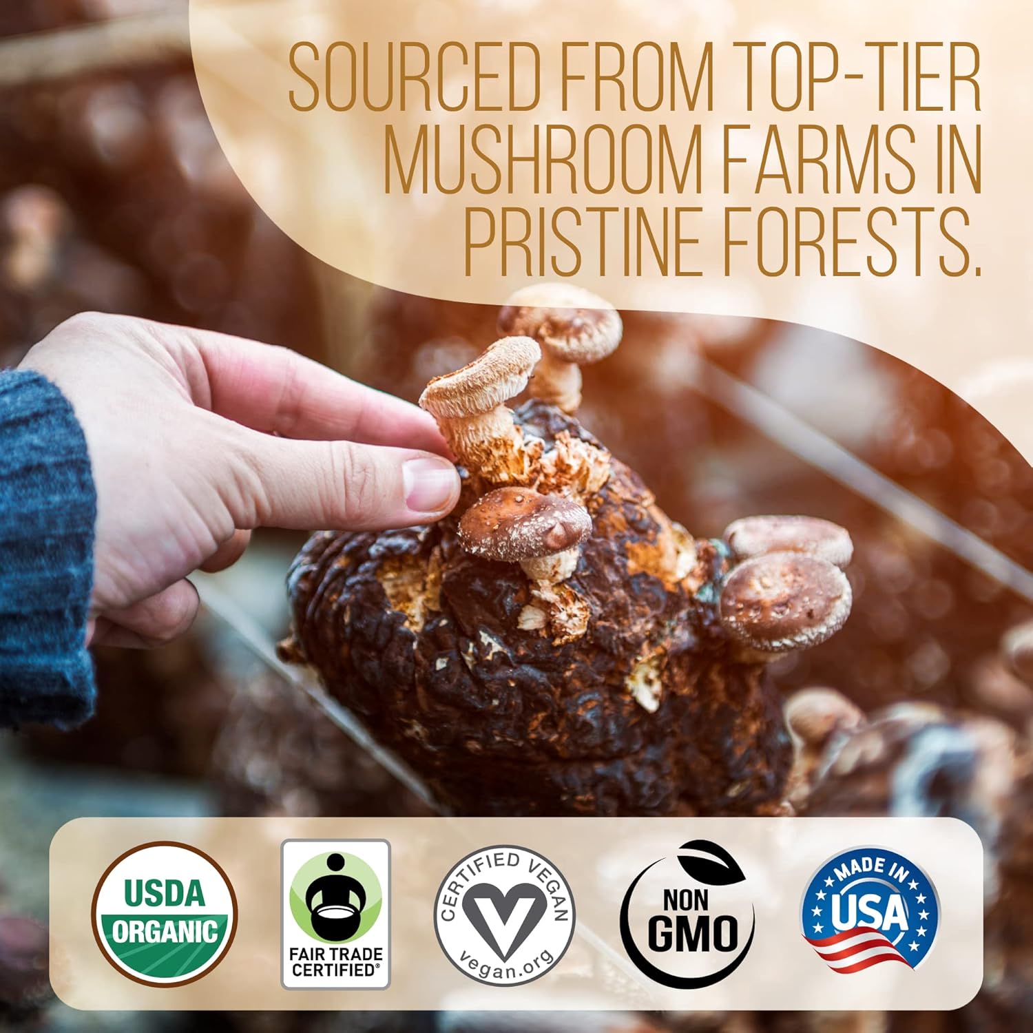 * BACK IN STOCK! La Republica Ground Mushroom Coffee - Focus & Energy - NEW - 12oz bag (60 servings)