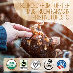 * BACK IN STOCK! La Republica Ground Mushroom Coffee - Focus & Energy - NEW - 12oz bag (60 servings)