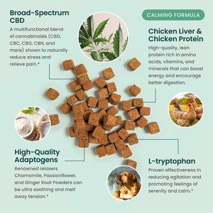 R&R CBD Calming Dog Chews - with Calming Chamomile, Passon Flower & Ginger Root - 60 Treats - Curious Rick's Hemporium