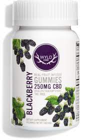 *NEW! WYLD - CBD Gummies - THC FREE - 25mg CBD each - Real Blackberry Fruit Flavored - 10 count